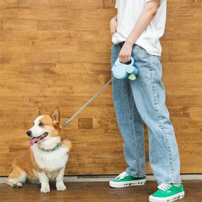 laisse pour chien bleue tenue par propriétaire debout contre mur bois avec Corgi  - NightWalk™