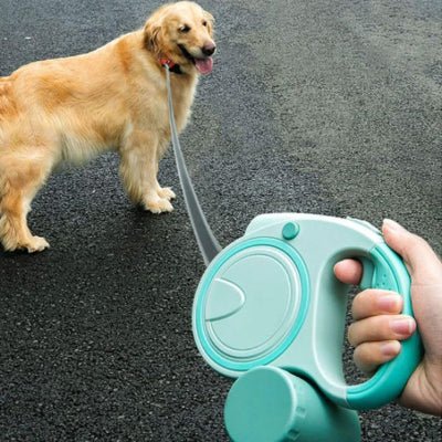 laisse pour chien verte vue en gros plan avec Golden Retriever en promenade NightWalk™