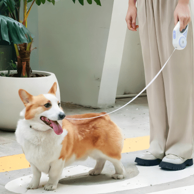 laisse pour chien retractable 5 metres, promenade securisee LiteWalk™