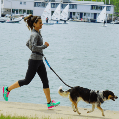 laisse mains libres pour chien modèle noir tout-en-un avec amortisseur PawFree