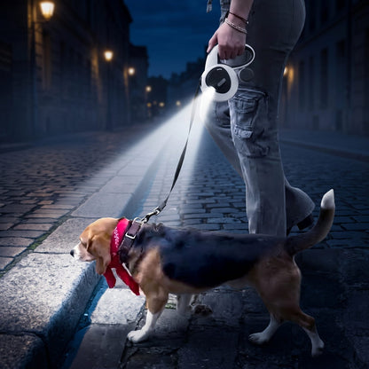 Beagle en balade nocturne éclairé par la lampe LED de la laisse enrouleur 5m pour chien IronTrek dans une rue pavée