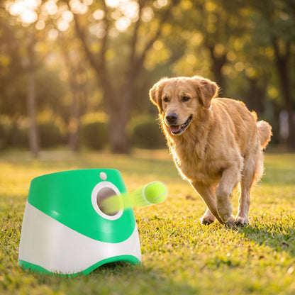 Lanceur de balle pour chien - golden retriever qui court vers la balle dans un parc