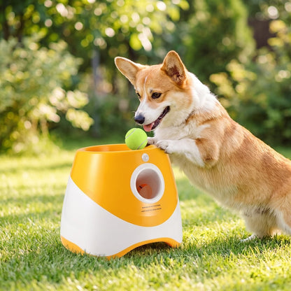 Lanceur de balle pour chien - corgi qui pose ses pattes sur le lanceur, coloris orange