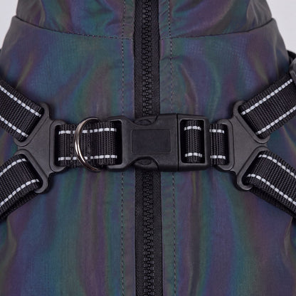 Macro de la boucle et des sangles à bandes réfléchissantes du harnais intégré au manteau irisé pour chien