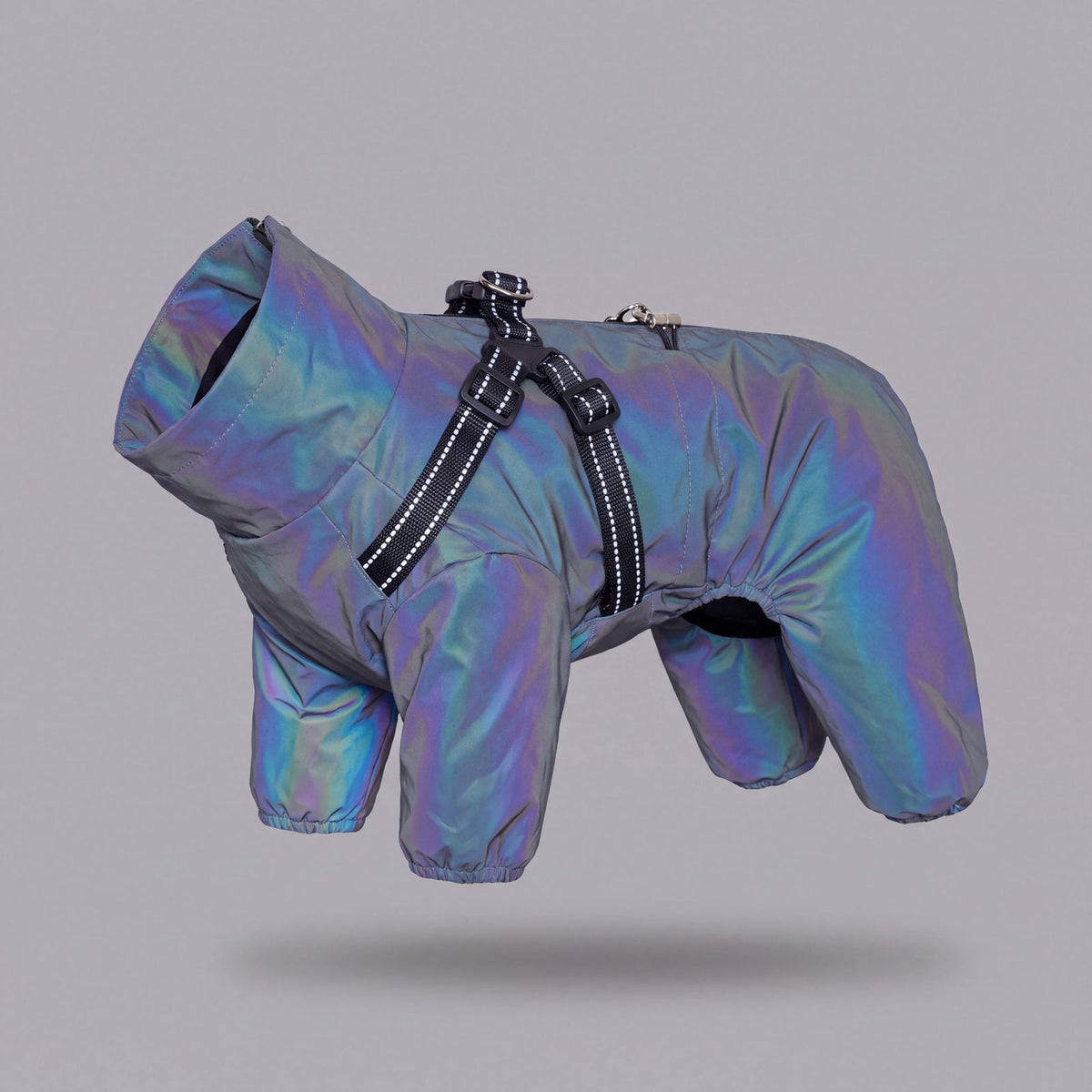 Manteau chien réfléchissant irisé imperméable 4 pattes avec harnais intégré, vue studio 3/4 sur fond gris