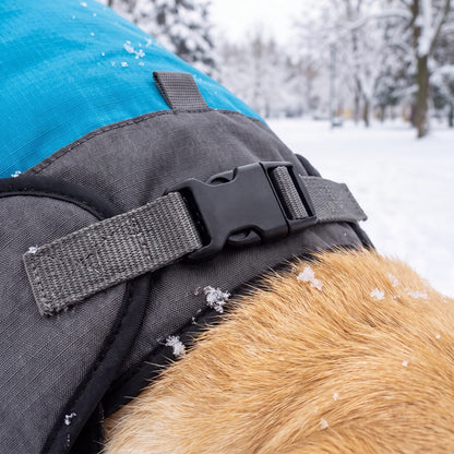 Boucle clip et sangle du manteau d'hiver bleu et gris pour chien, gros plan