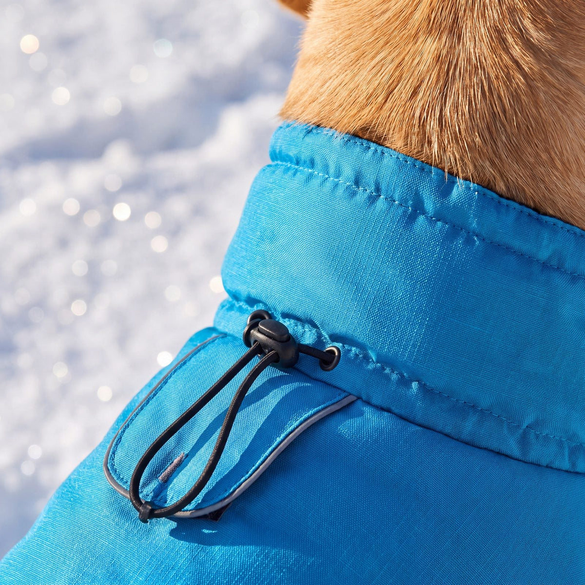Col haut du manteau d'hiver bleu pour chien avec cordon de serrage, gros plan
