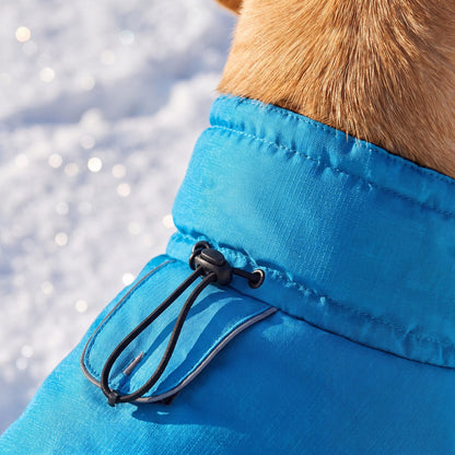 Col haut du manteau d'hiver bleu pour chien avec cordon de serrage, gros plan