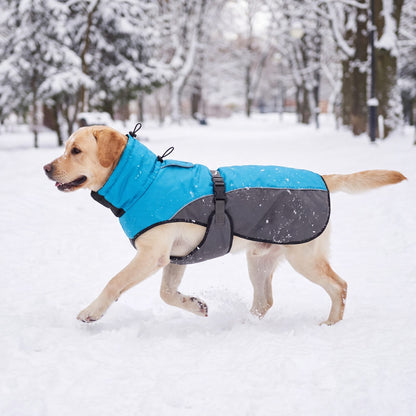 Labrador qui trotte dans la neige avec un manteau d'hiver bleu et gris, vu de profil