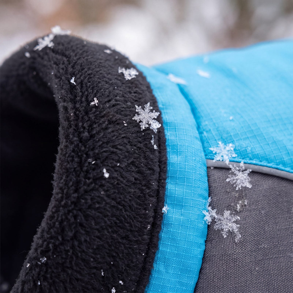 Doublure polaire noire du col du manteau d'hiver bleu et gris pour chien, gros plan