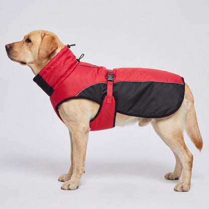 Chien de profil sur fond gris studio avec un manteau d'hiver chaud pour chien rouge et noir