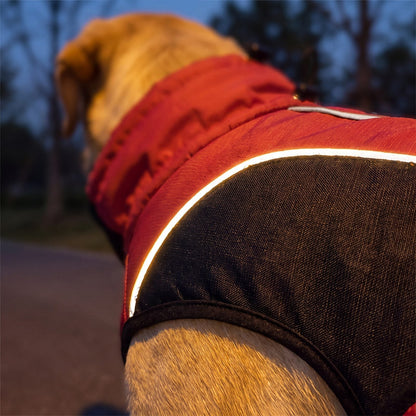Gros plan sur le liseré réfléchissant du manteau d'hiver chaud pour chien rouge et noir à la tombée de la nuit