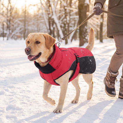 Chien en laisse en balade dans la neige avec un manteau d'hiver chaud pour chien rouge et noir