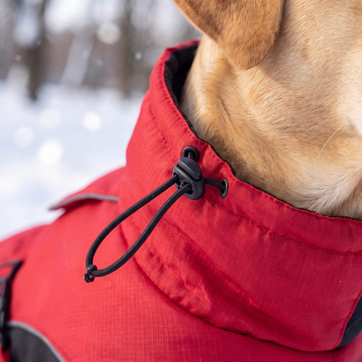 Gros plan sur le col haut et le cordon de serrage du manteau d'hiver chaud pour chien rouge
