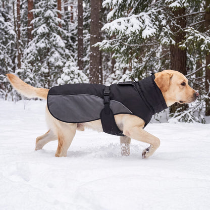Labrador qui trotte de profil dans la neige avec le manteau d'hiver chaud pour chien noir et gris