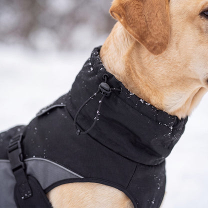 Col haut et cordon de serrage du manteau d'hiver chaud pour chien noir et gris, gros plan