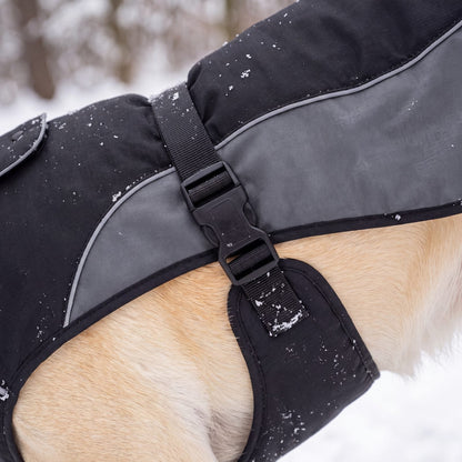 Boucle clip et sangle de ventre du manteau d'hiver chaud pour chien noir et gris, gros plan