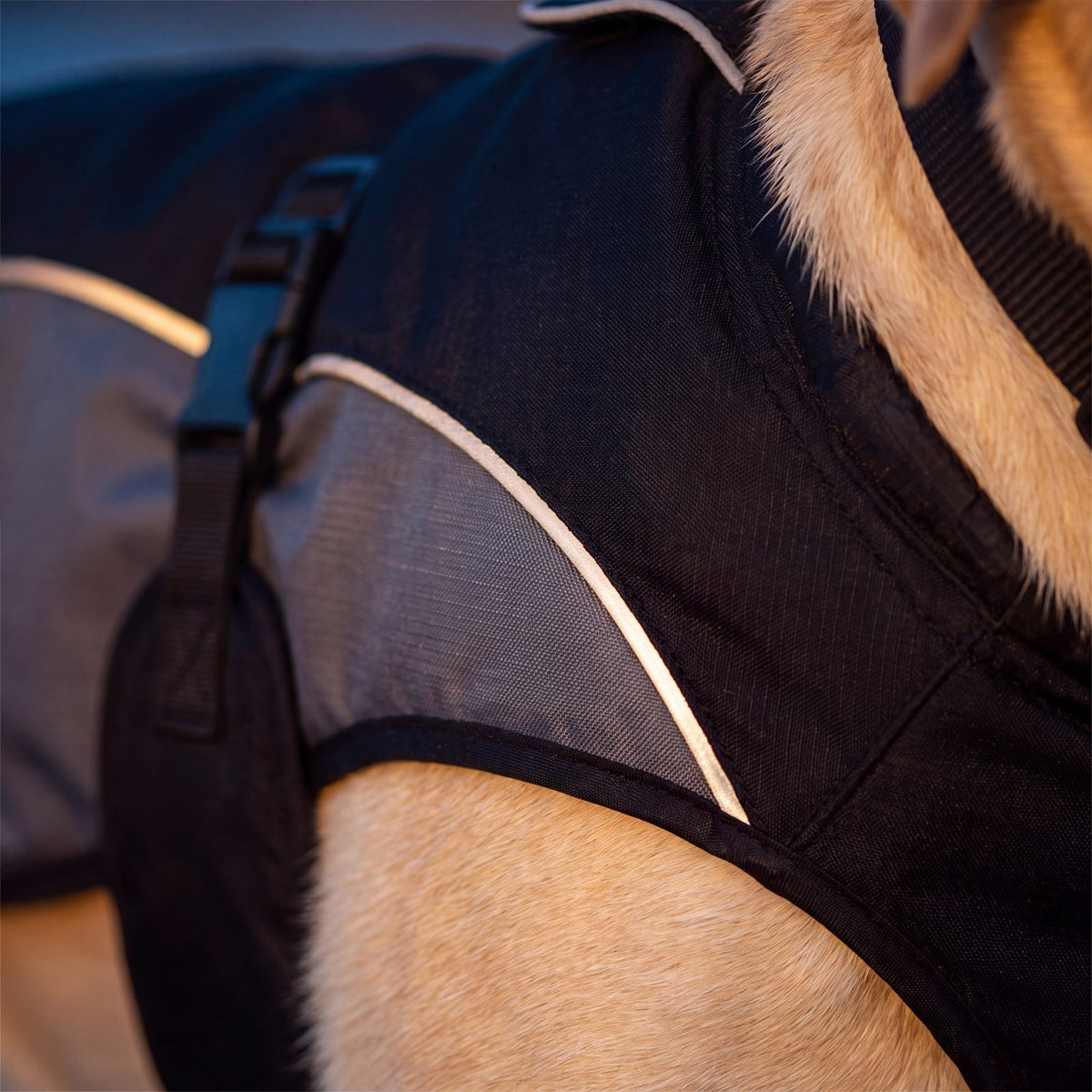 Bandes réfléchissantes du manteau d'hiver chaud pour chien noir et gris, gros plan