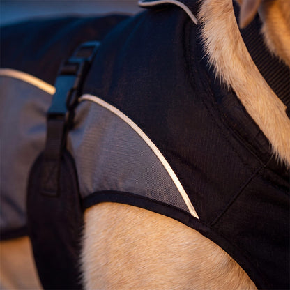 Bandes réfléchissantes du manteau d'hiver chaud pour chien noir et gris, gros plan