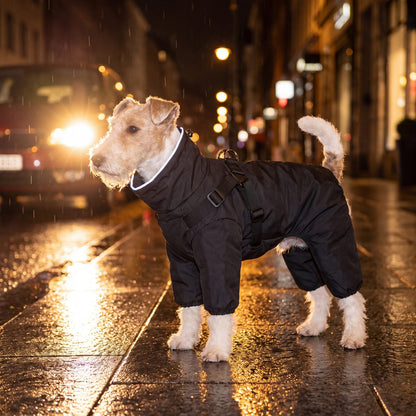 Fox terrier dans une rue de nuit sous la pluie, portant un manteau noir imperméable 4 pattes avec col à bande réfléchissante