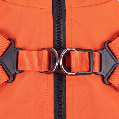 Gros plan sur la boucle du harnais intégré du manteau orange pour chien : deux anneaux métalliques, sangles réglables et fermeture zippée