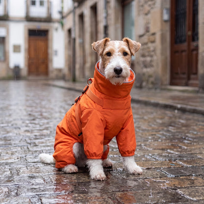 Fox terrier assis de face dans une rue pavée mouillée, portant un manteau orange imperméable 4 pattes avec col haut