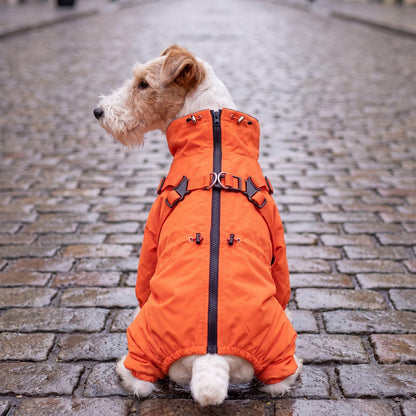 Fox terrier assis vu de dos dans une rue pavée, manteau orange pour chien avec harnais intégré et fermeture zippée