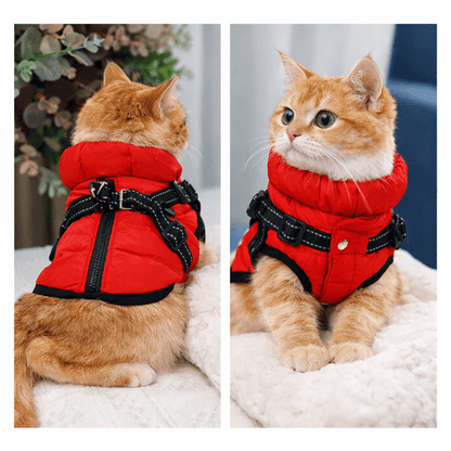 Harnais chien rouge avec manteau chaud porté par un chat roux, vue de dos et de face, idéal pour la protection et le confort par temps froid