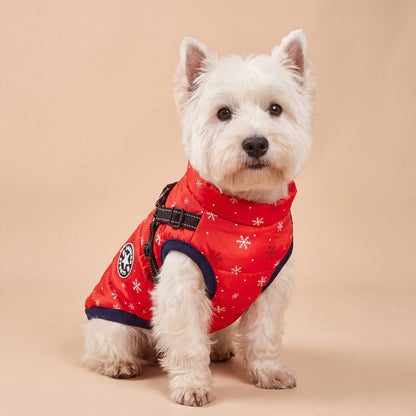 Westie assis de face portant le manteau rouge vif à flocons avec harnais intégré, fond beige