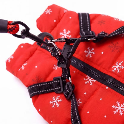 Mousqueton de la laisse clipsé sur l'anneau en D du harnais intégré au manteau rouge vif à flocons pour chien