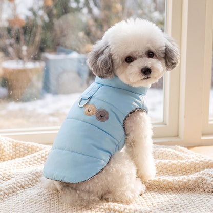 Petit chien blanc assis sur un plaid devant une fenêtre, portant une doudoune bleu ciel matelassée