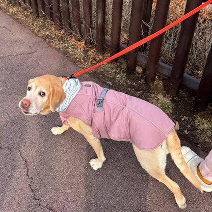 Manteau pour chien | Imperméable & Ajustable
