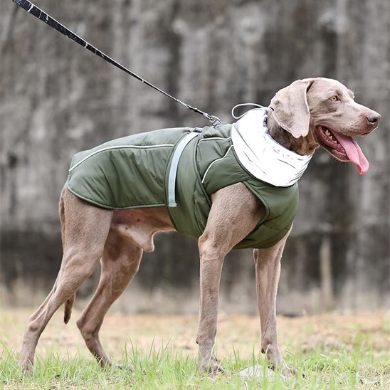 Manteau pour chien | Imperméable & Ajustable