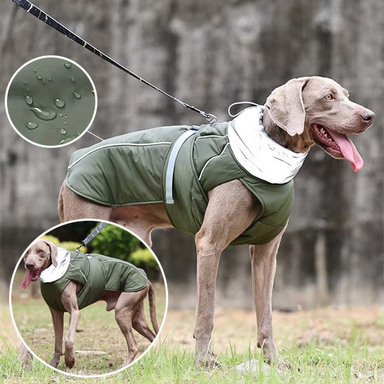 Manteau pour chien | Imperméable & Ajustable
