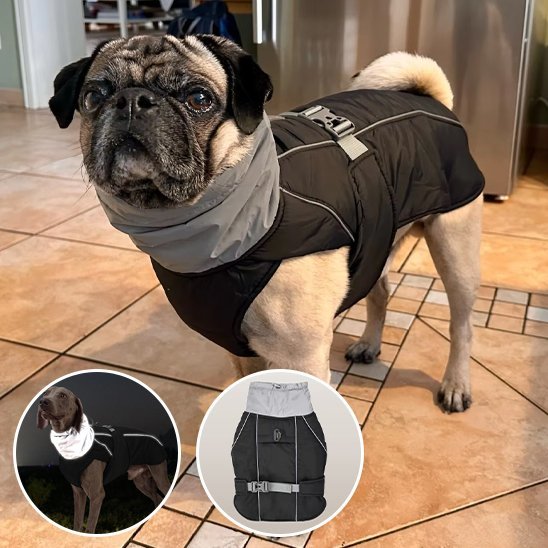 Manteau pour chien | Imperméable & Ajustable