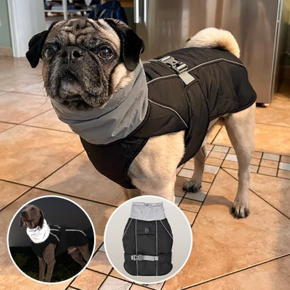 Manteau pour chien | Imperméable & Ajustable