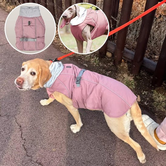 Manteau pour chien | Imperméable & Ajustable