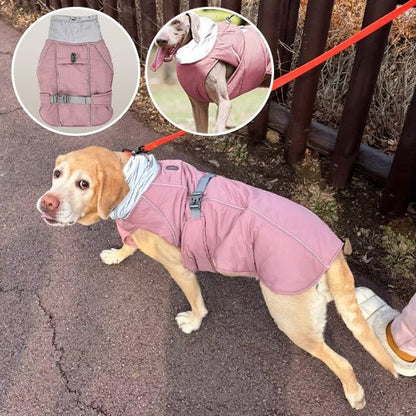 Manteau pour chien | Imperméable & Ajustable