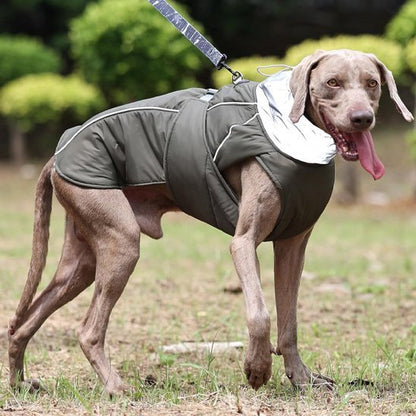 Manteau pour chien | Imperméable & Ajustable