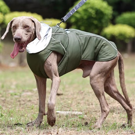 Manteau pour chien | Imperméable & Ajustable