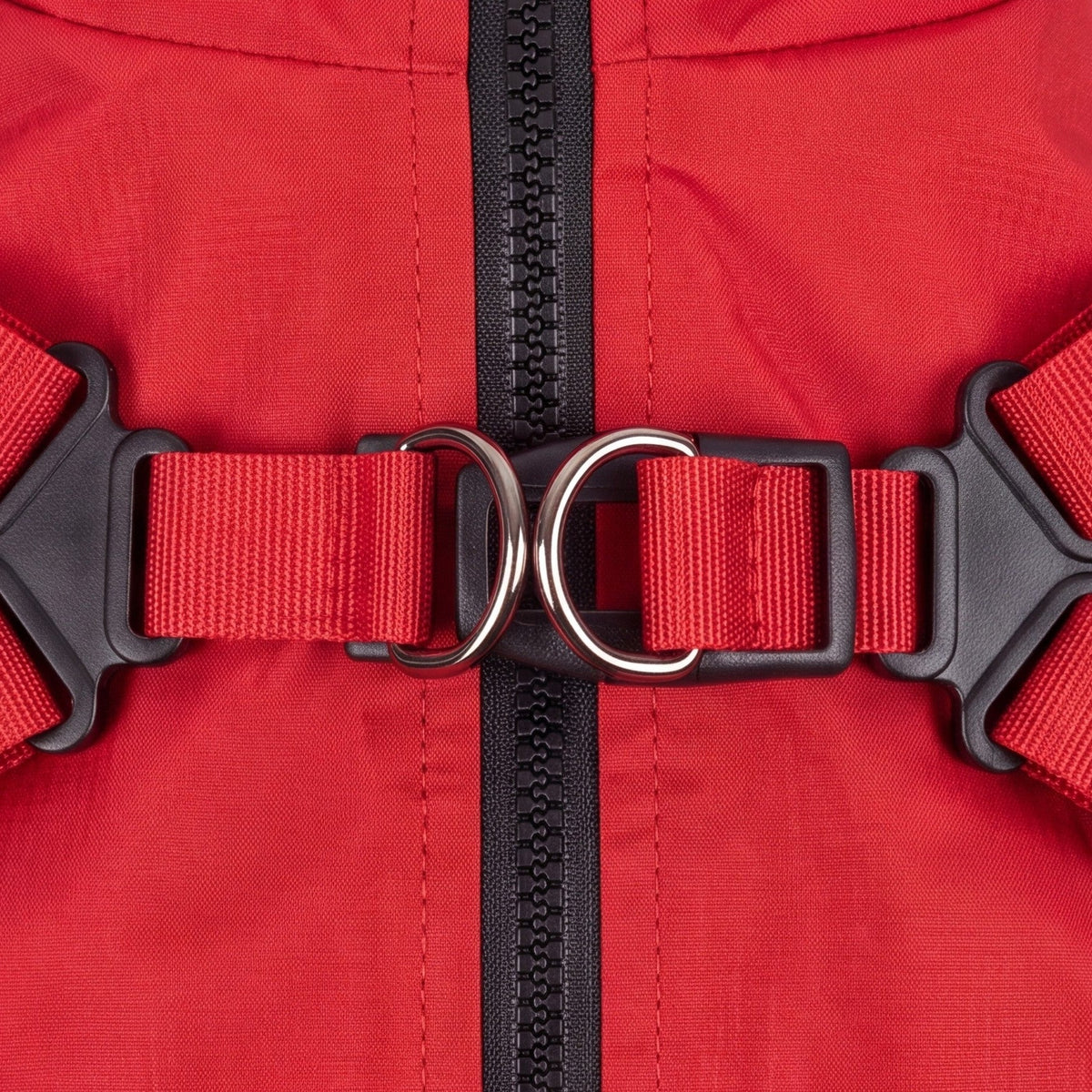 Gros plan sur la boucle du harnais intégré du manteau rouge pour chien : deux anneaux métalliques, sangles réglables et fermeture zippée