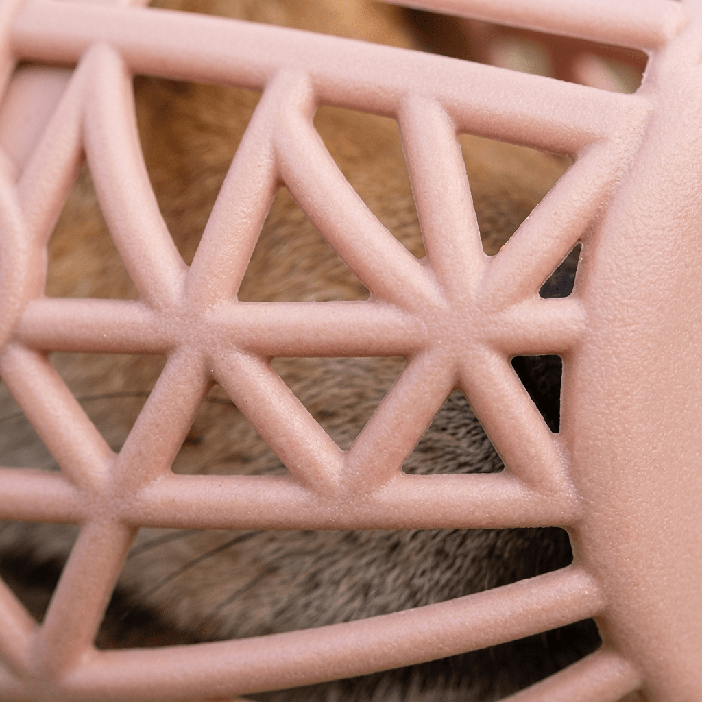 museliere cage a cordon ajustable gros plan macro sur la grille aeree