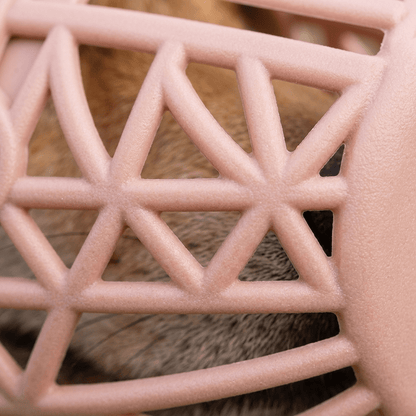 museliere cage a cordon ajustable gros plan macro sur la grille aeree