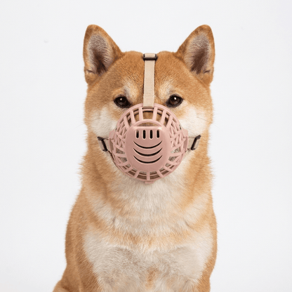museliere cage a cordon ajustable sur shiba inu packshot vue de face