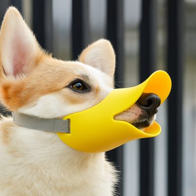 Muselière chien ajustable douce sur museau blanc en extérieur bec de canard