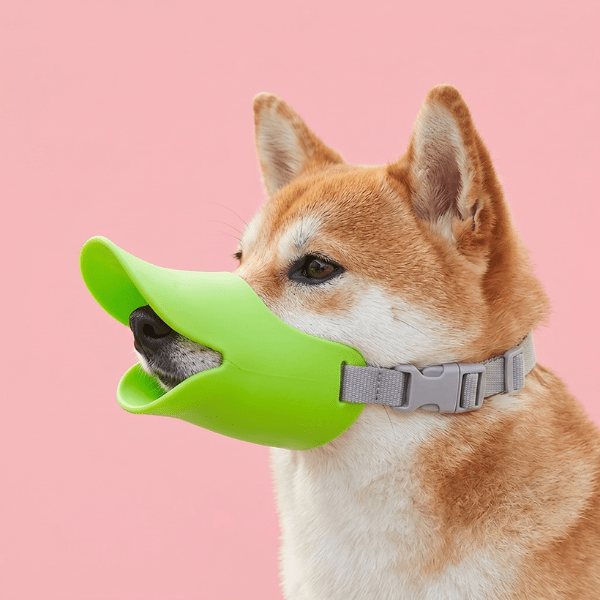 Muselière Chien Bec de Canard Chien store verte en silicone portée par un chien Shiba Inu