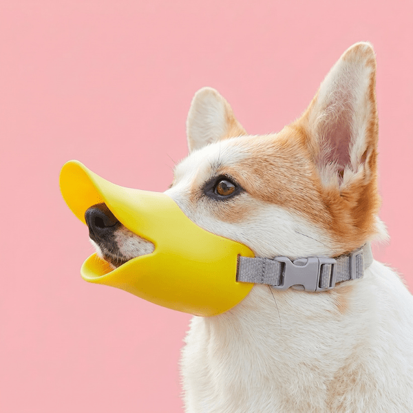 Muselière Chien Bec de Canard Chien store jaune souple ajustée sur le museau d'un chien Corgi