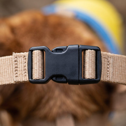 Macro sur la boucle de verrouillage et la sangle de la muselière chien bec de perroquet