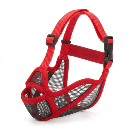 museliere chien museau plat rouge sur bouledogue francais packshot