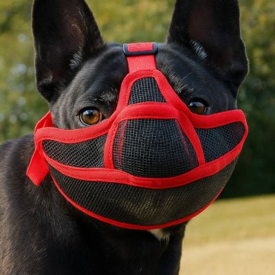  Ajustement facile de la muselière chien avec sangle résistante et boucle sécurisée – BullyComfort™